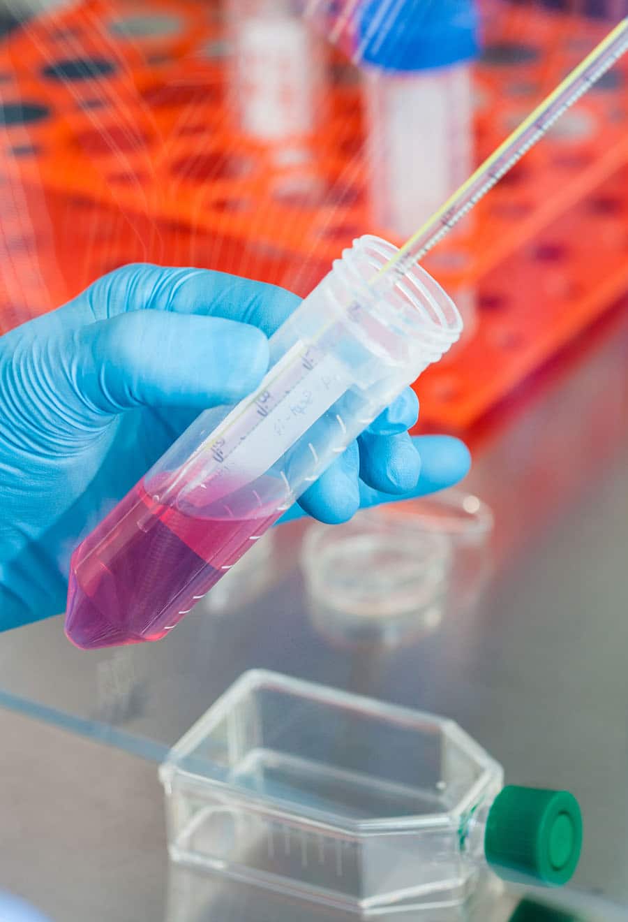 Scientist working with a falcon tube under sterile hood at laboratory